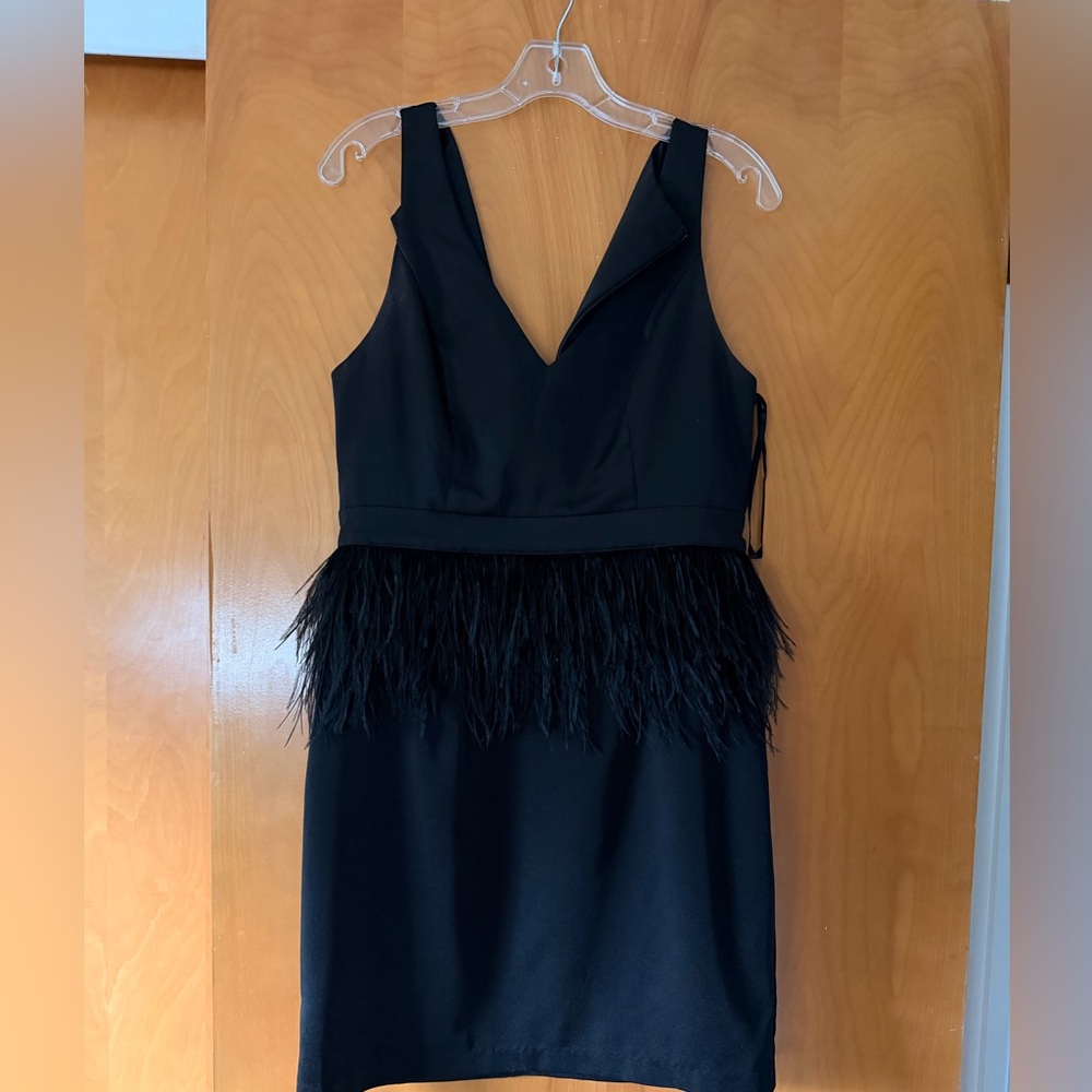 Black V-Neck Mini Dress with Feather Waist Trim